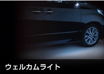 ウェルカムライト